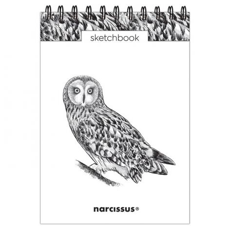 Kołoszkicownik Narcissus B5/60/120g Sowa